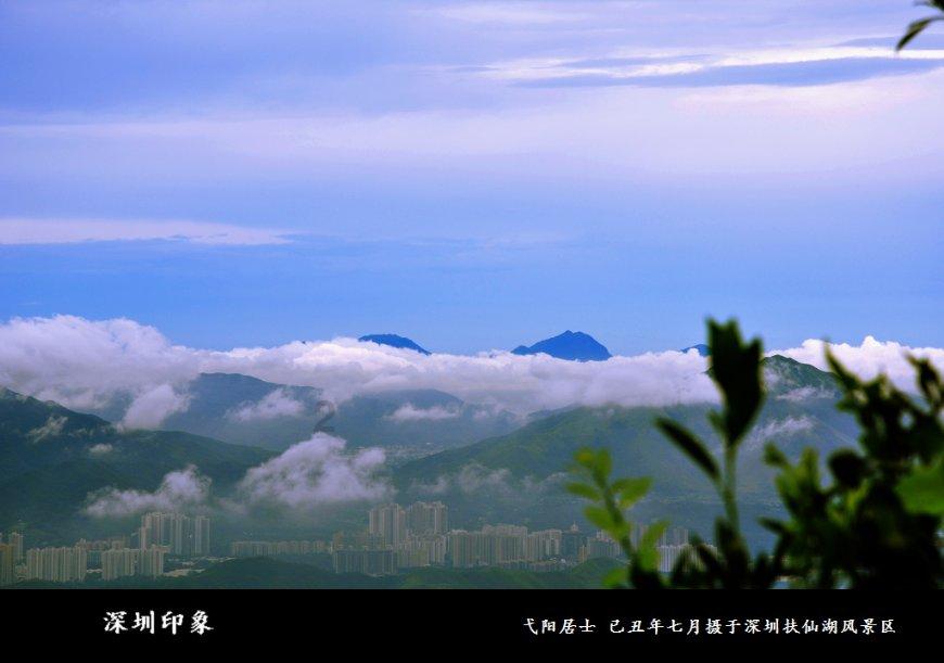 御龙在天